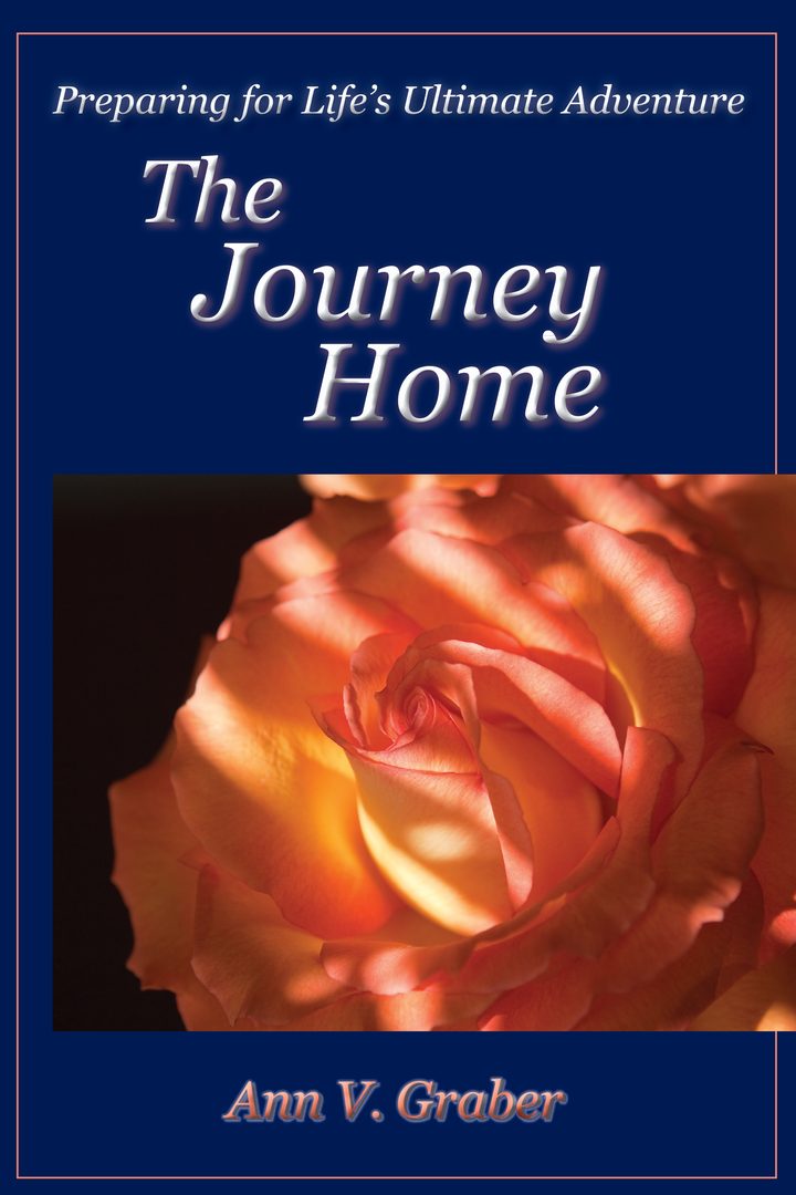 Cover of The Journey Home